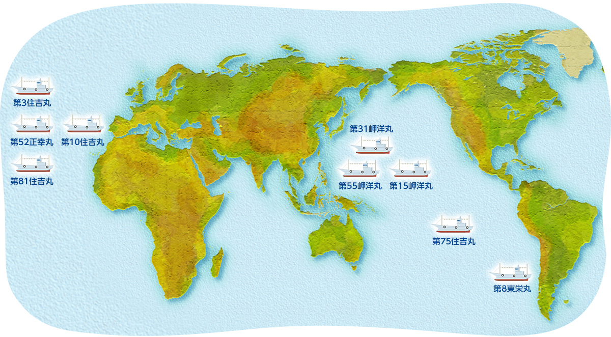 世界中の海で活躍する住吉漁業の漁船をご紹介いたします